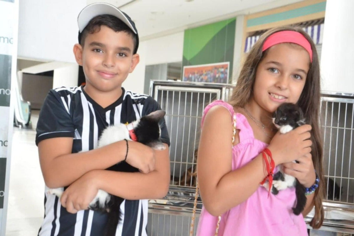 Todos os animais foram vermifugados, e os adultos, castrados e microchipados