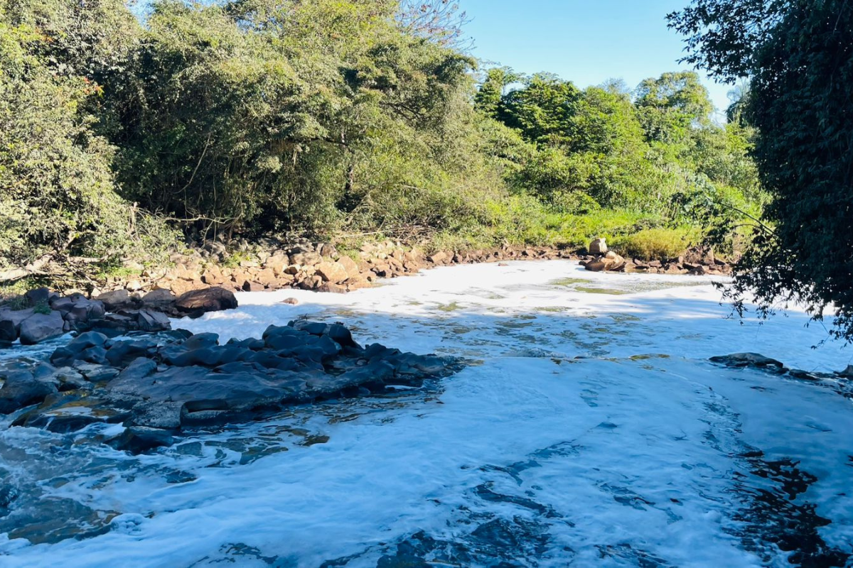 Camada de espuma branca estava em um trecho do Rio Paraopeba na altura do bairro Aroeiras, perto da BR-262