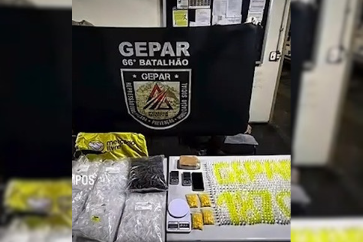 Equipe do Gepar realizou a operação