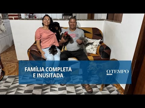 Belinha, uma vira-lata caramelo, surpreende ao assumir maternidade de gatinhos recém-nascidos. Relação afetiva entre os animais emociona e inspira