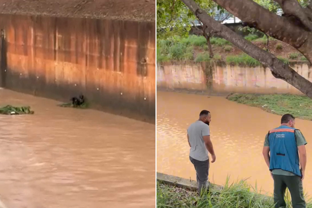 Nível da água subia devido a chuva