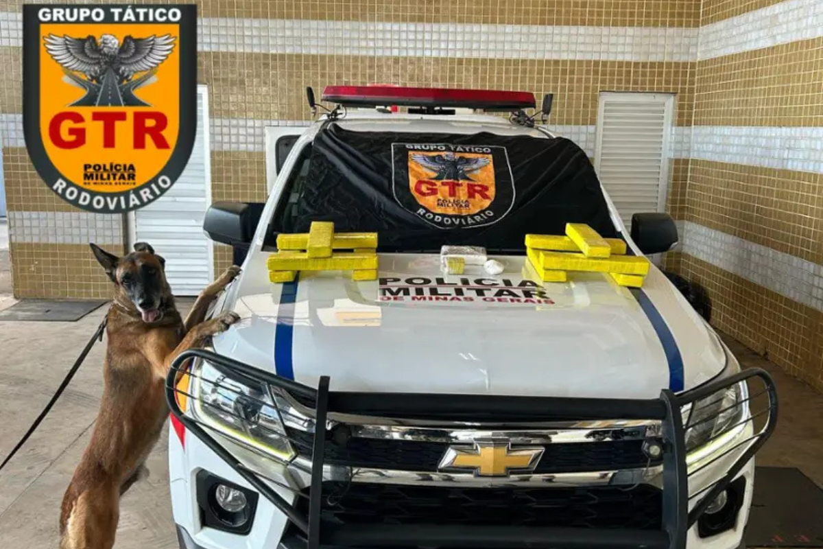 Cão Billy ajudou a localizar dez barras e uma porção de maconha, uma barra de cloridrato de cocaína e uma porção da mesma droga