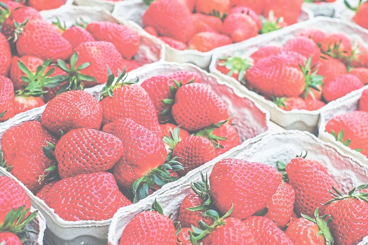 Fruta será o principal ingrediente usado nas receitas 