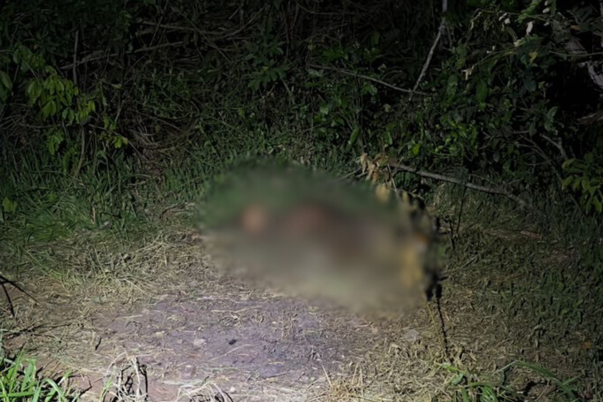 De acordo com os policiais, o crânio da vítima apresenta duas perfurações e fios de cabelo de cor preta foram localizados próximos ao corpo