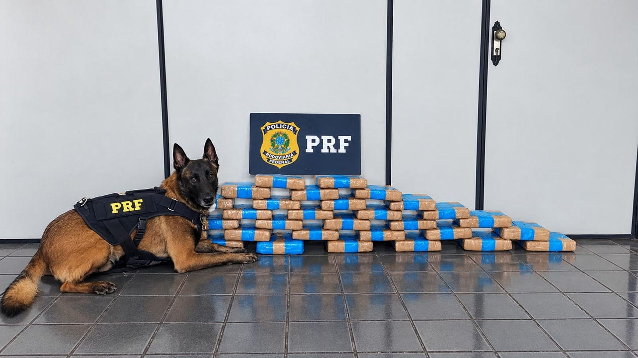 Tabletes de maconha totalizaram cerca de 35 kg, segundo a PRF
