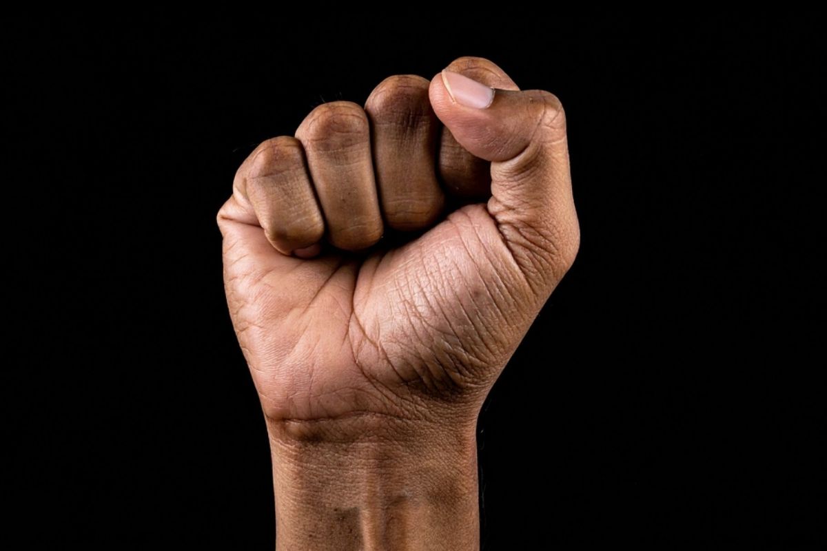 Premiação ocorre no mês da Consciência Negra, que lembra e celebra a luta e a resistência da população negra no Brasil