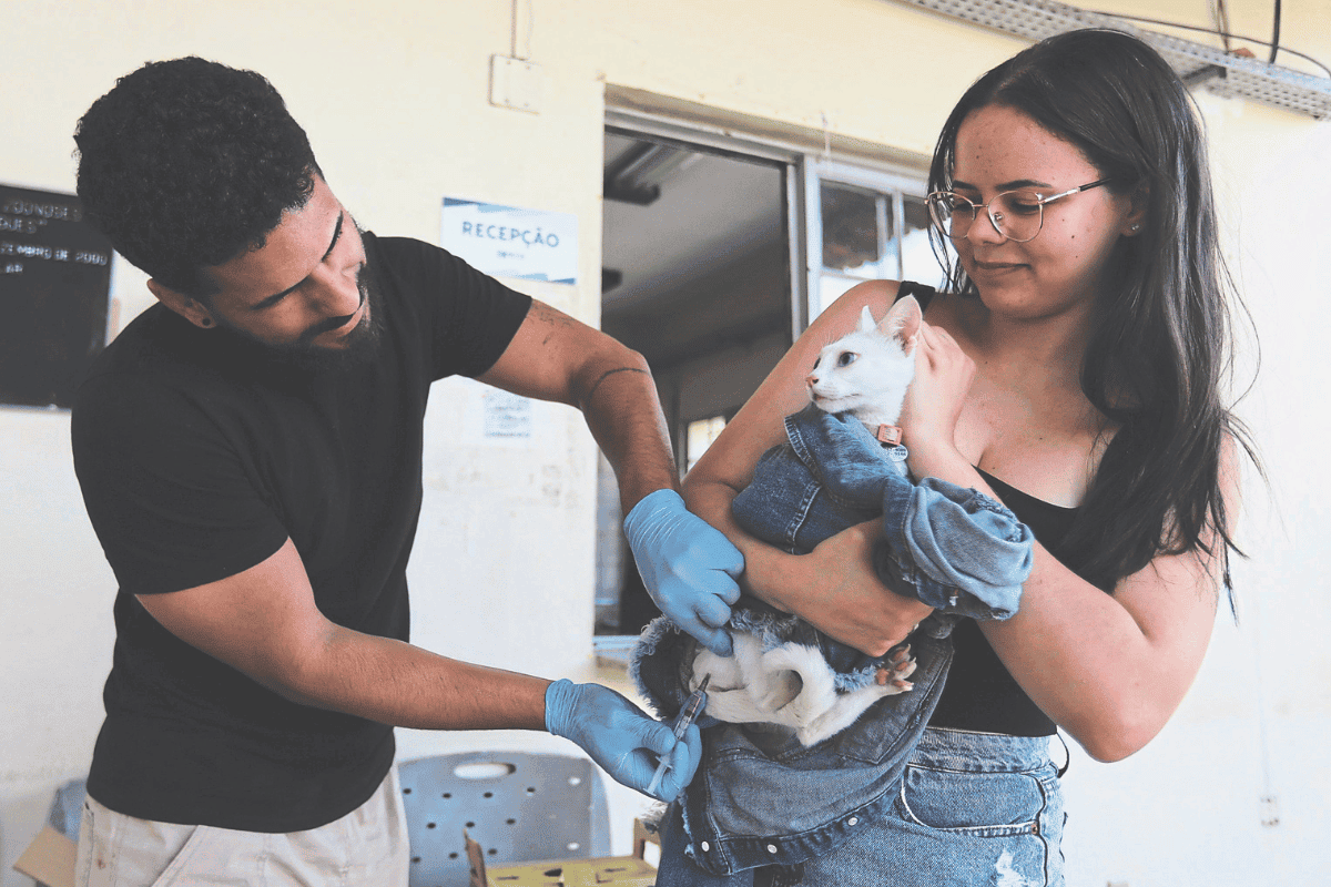 Vacina protege contra a raiva, doença grave que pode ser transmitida para humanos e tende a ser letal; cães e gatos podem receber as doses