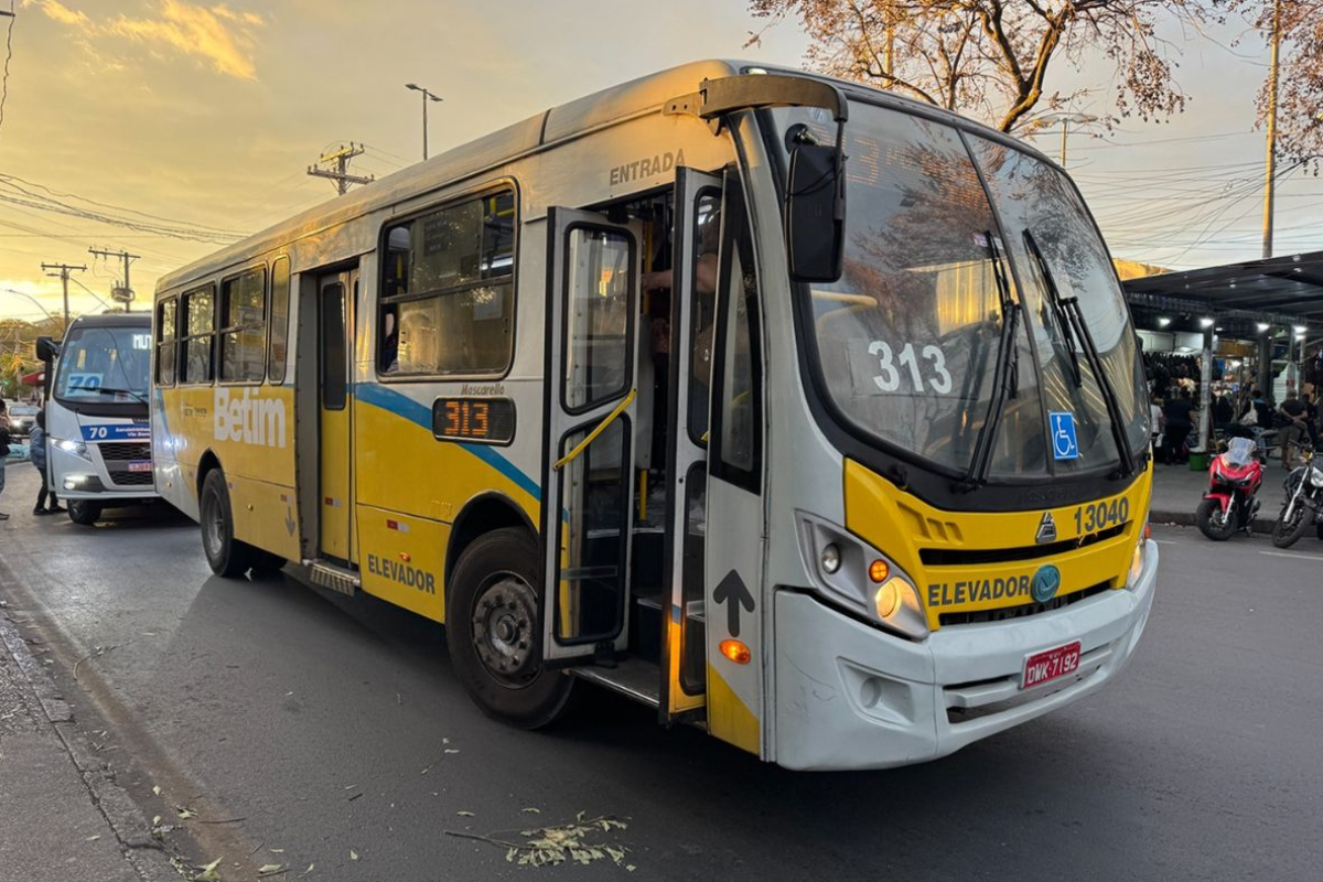Usuários podem verificar o horário de cada linha pelo aplicativo Clicabus