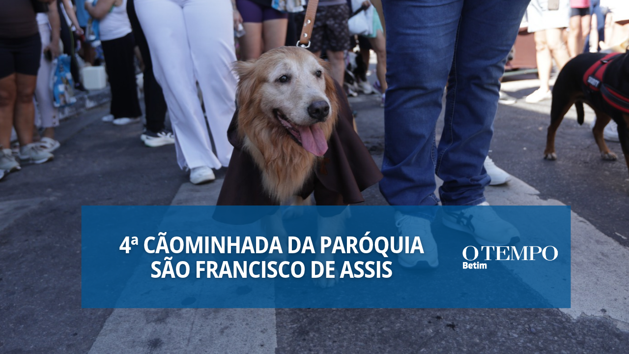 Quarta edição do evento no bairro Angola teve concurso de pets, reuniu animais de diferentes espécies; cachorrinha Ravena ganhou uma nova família