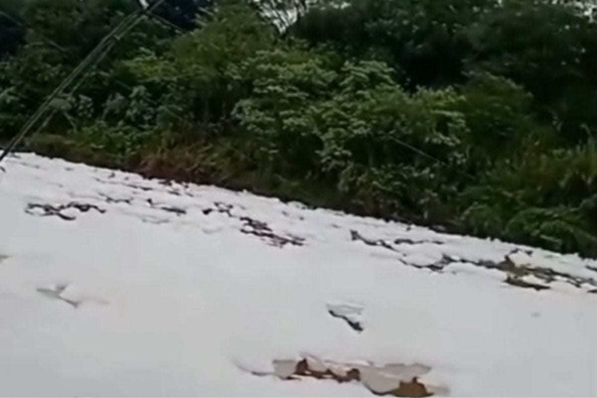 Vídeos que mostram uma camada de espuma em um trecho do Rio Paraopeba, em Betim, foram divulgados nas redes sociais nesse sábado (30)