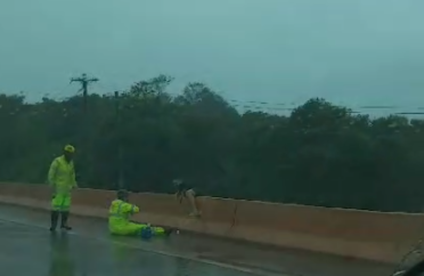Na manhã deste sábado (9), um homem teria pulado do viaduto da BR-381, que passa sobre o rio Paraopeba, na altura de São Joaquim de Bicas, Região Metropolitana de Belo Horizonte.