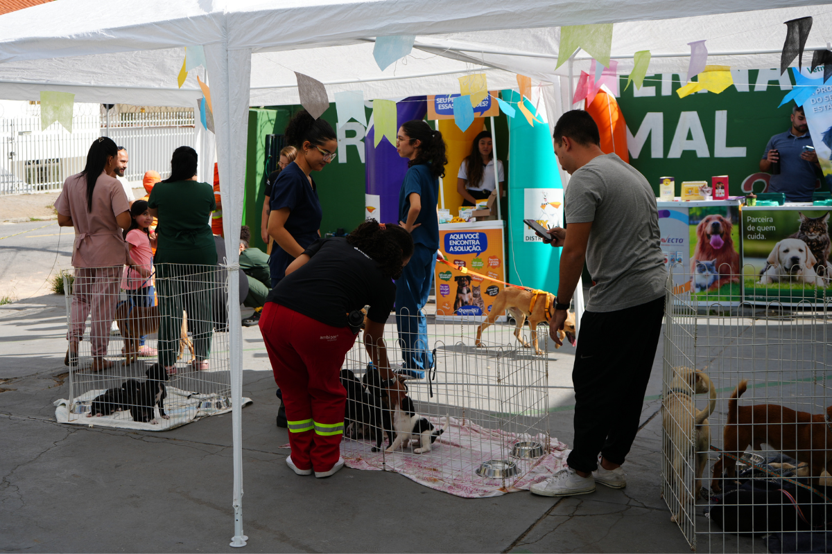 Iniciativa acontece das 13h às 17h, no estacionamento G2 coberto do Partage Shopping 