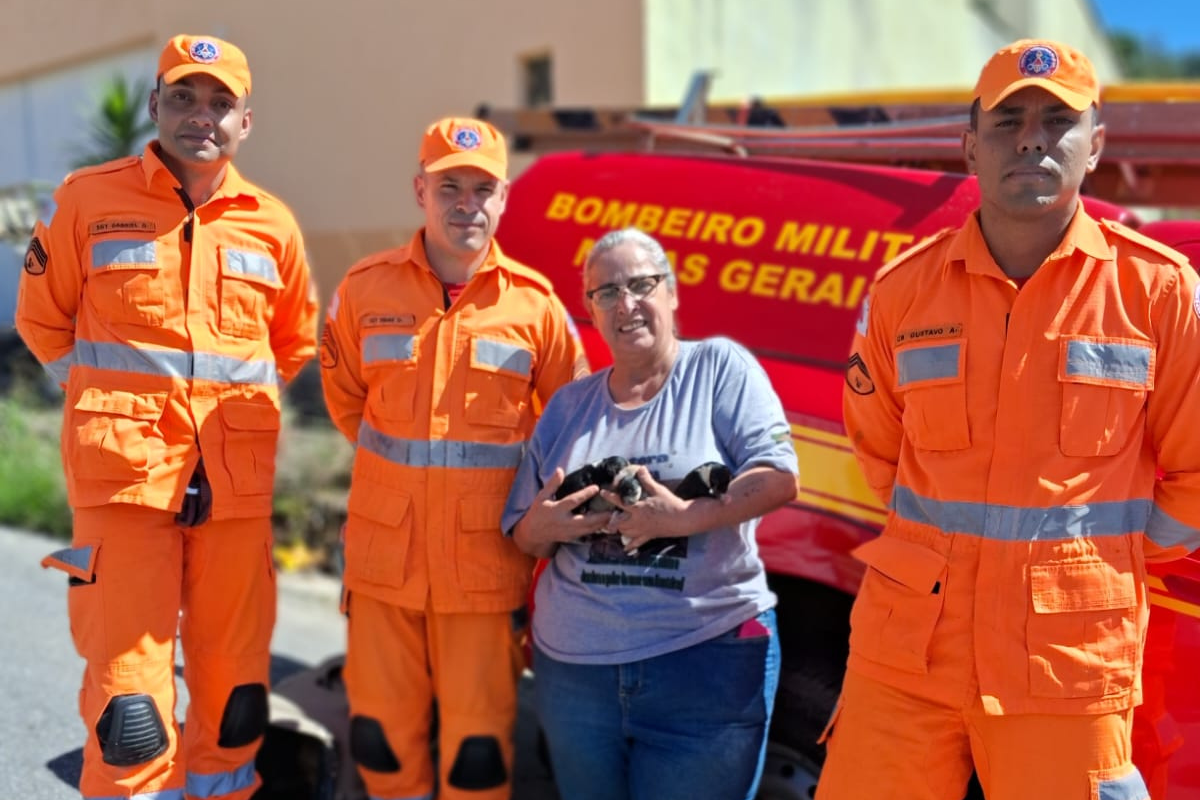 Corpo de Bombeiros Militar foi acionado e esteve no local para realizar o salvamento do animal, que se encontrava em situação de risco