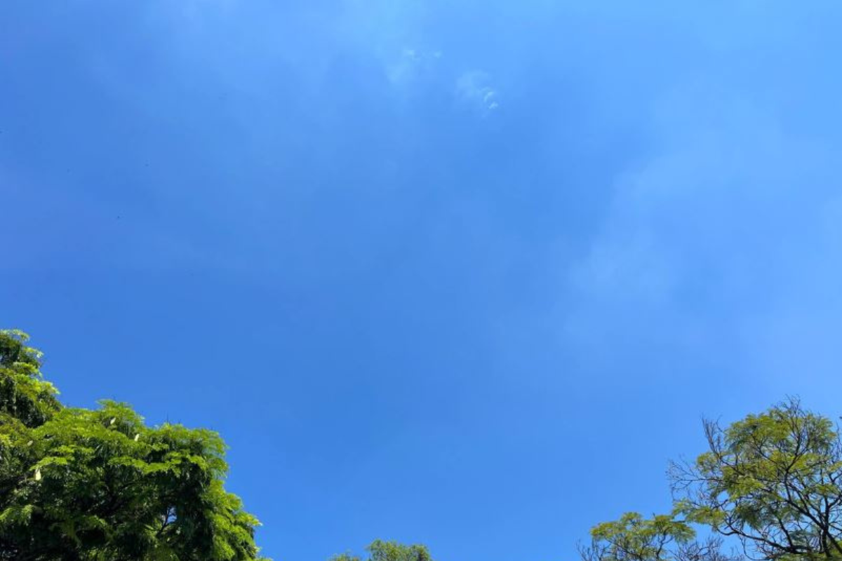 Termômetros devem variar entre 14°C e 29°C