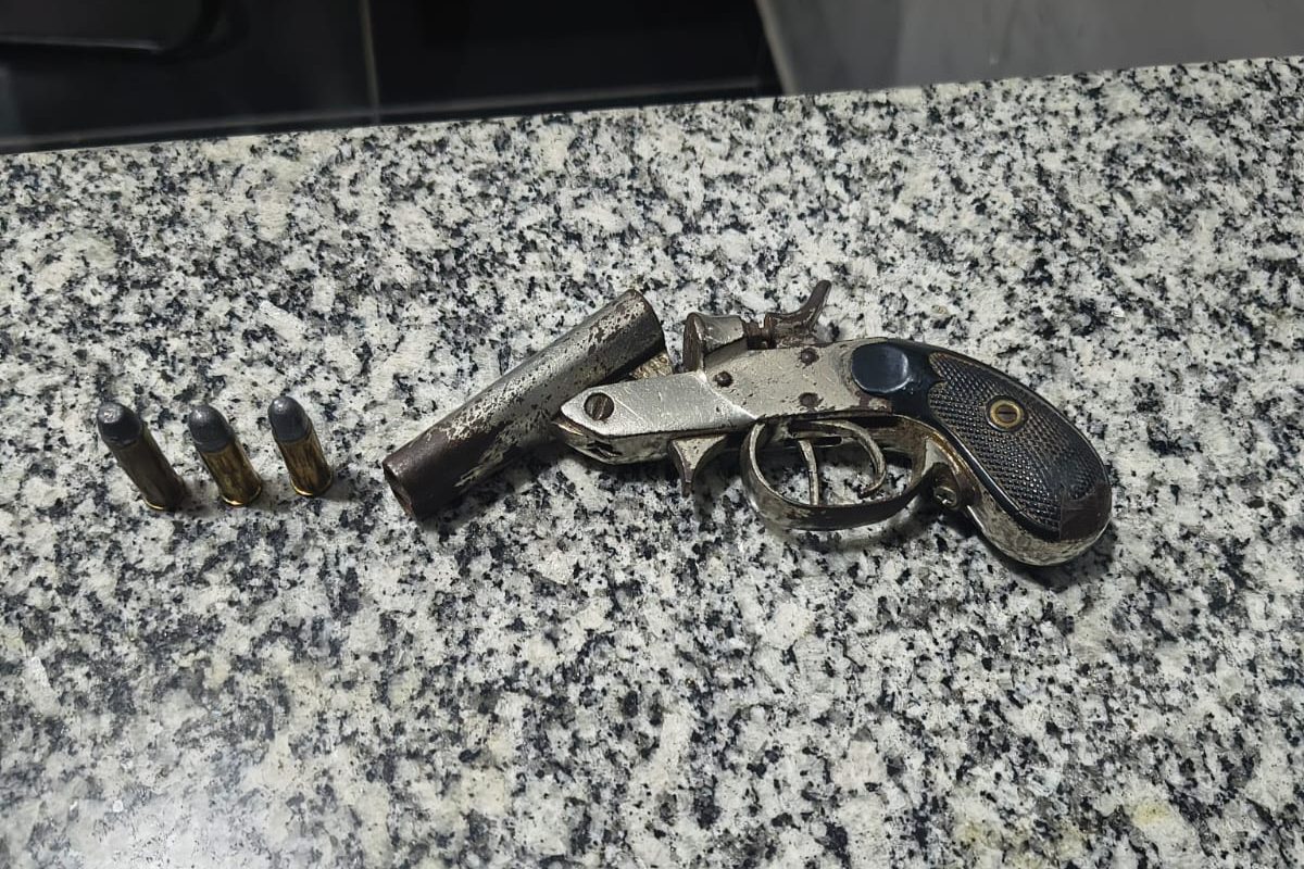 Uma arma de fogo e três cartuchos intactos foram apreendidos