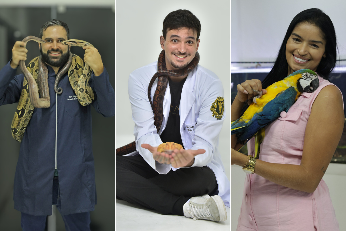 Da esquerda para a direita, os tutores Thiago Freitas, João Victor Abdanur e Adeniane Sousa com seus pets não convencionais