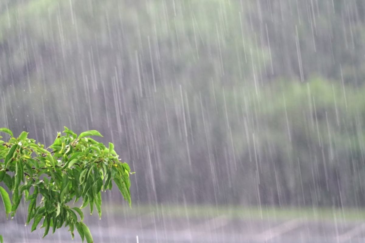 Semana deve ser marcada por muitas nuvens, calor moderado e pancadas de chuva frequentes