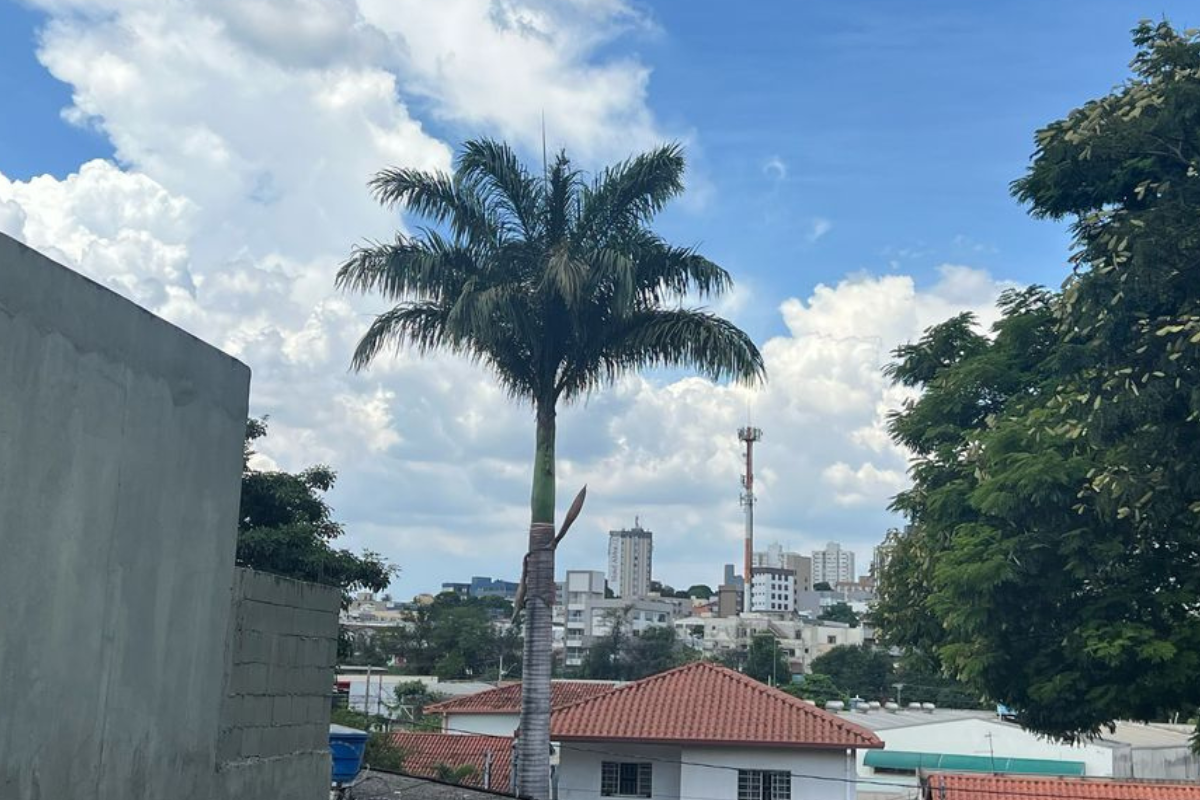 Previsão indica que o tempo vai virar neste sábado (15), com chuvas à tarde e noite chuvosa