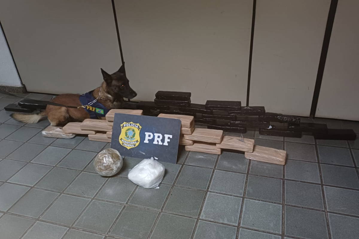 Cães de faro sinalizaram positivamente para a possível presença de entorpecentes em duas malas durante fiscalização no compartimento de bagagens