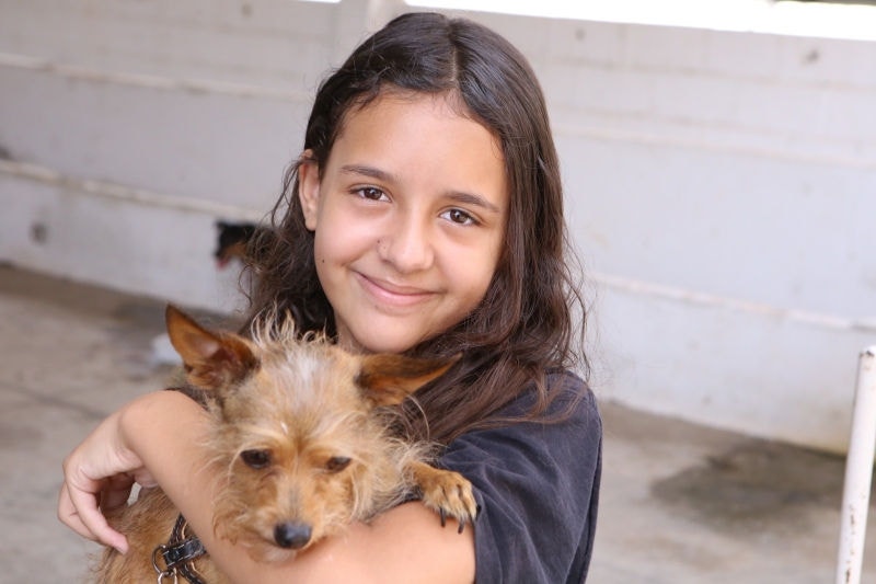 Serão cerca de 30 animais disponíveis