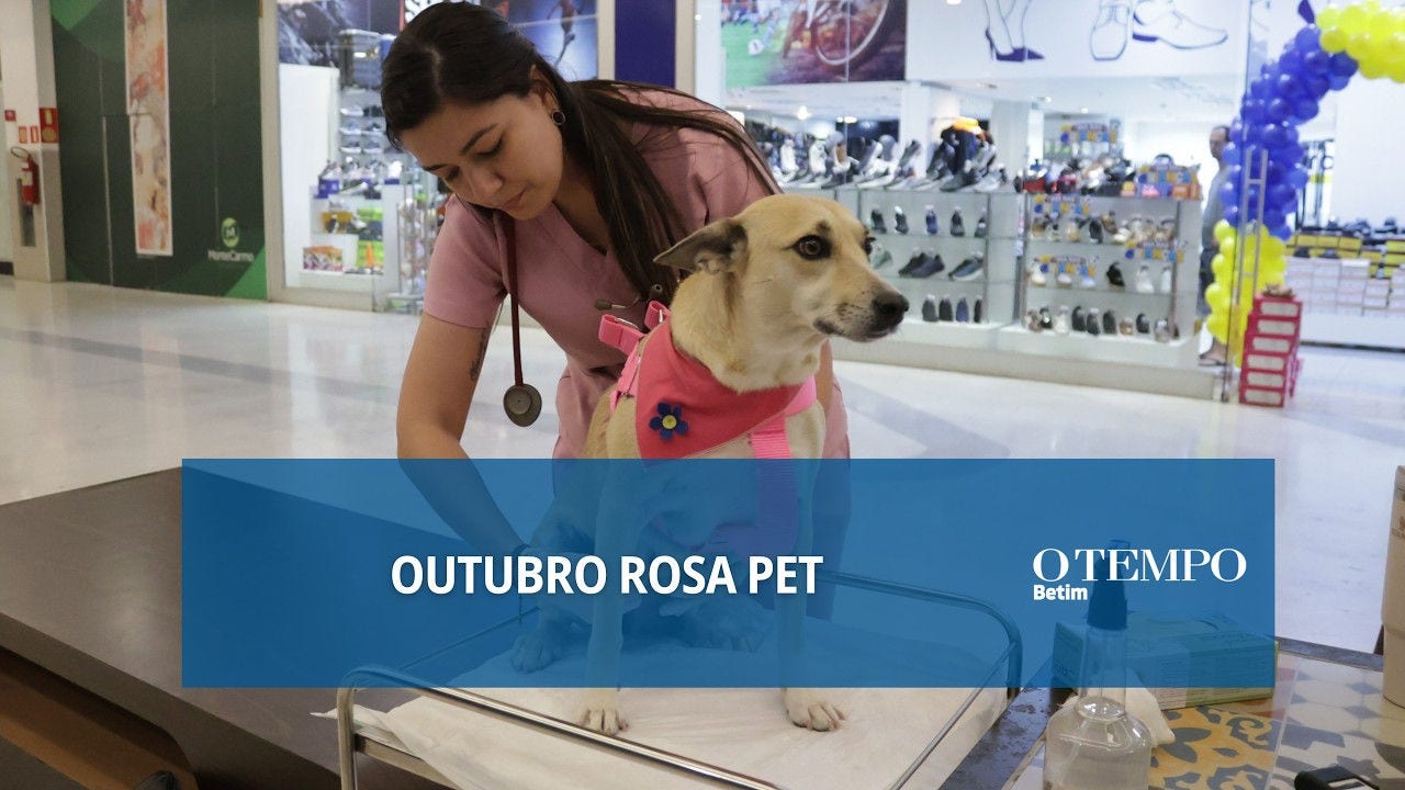 Ação da Sepa oferecerá orientação veterinária gratuita