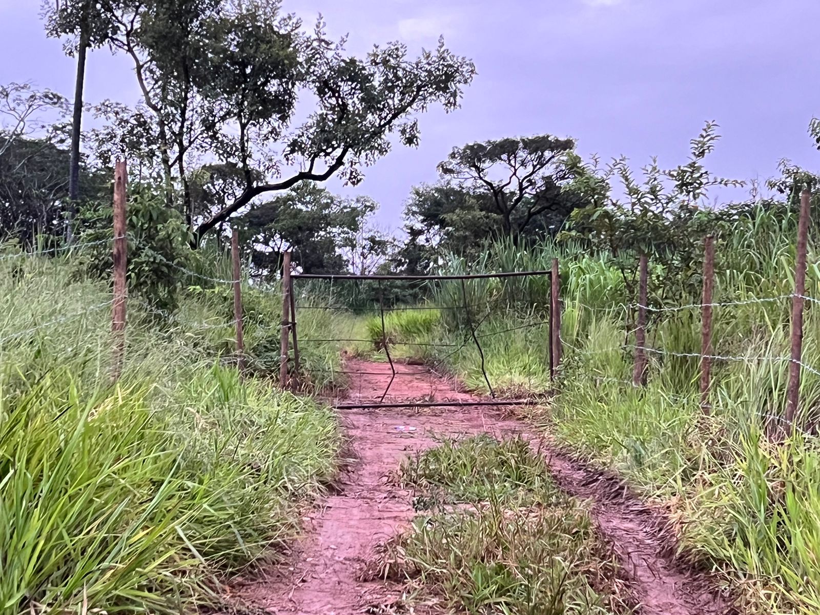 Em dois dias, foram construídas uma cerca e uma porteira na parte invadida