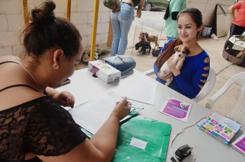 Ação visa combater o abandono de pets