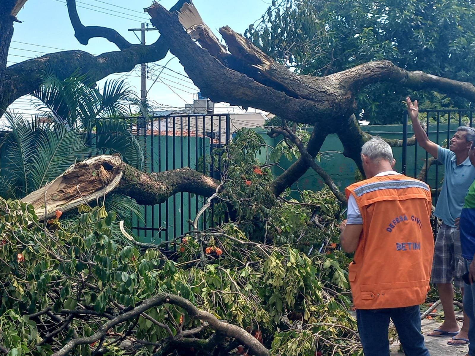Equipes estão mobilizadas para atender os chamados em decorrência do temporal em Betim