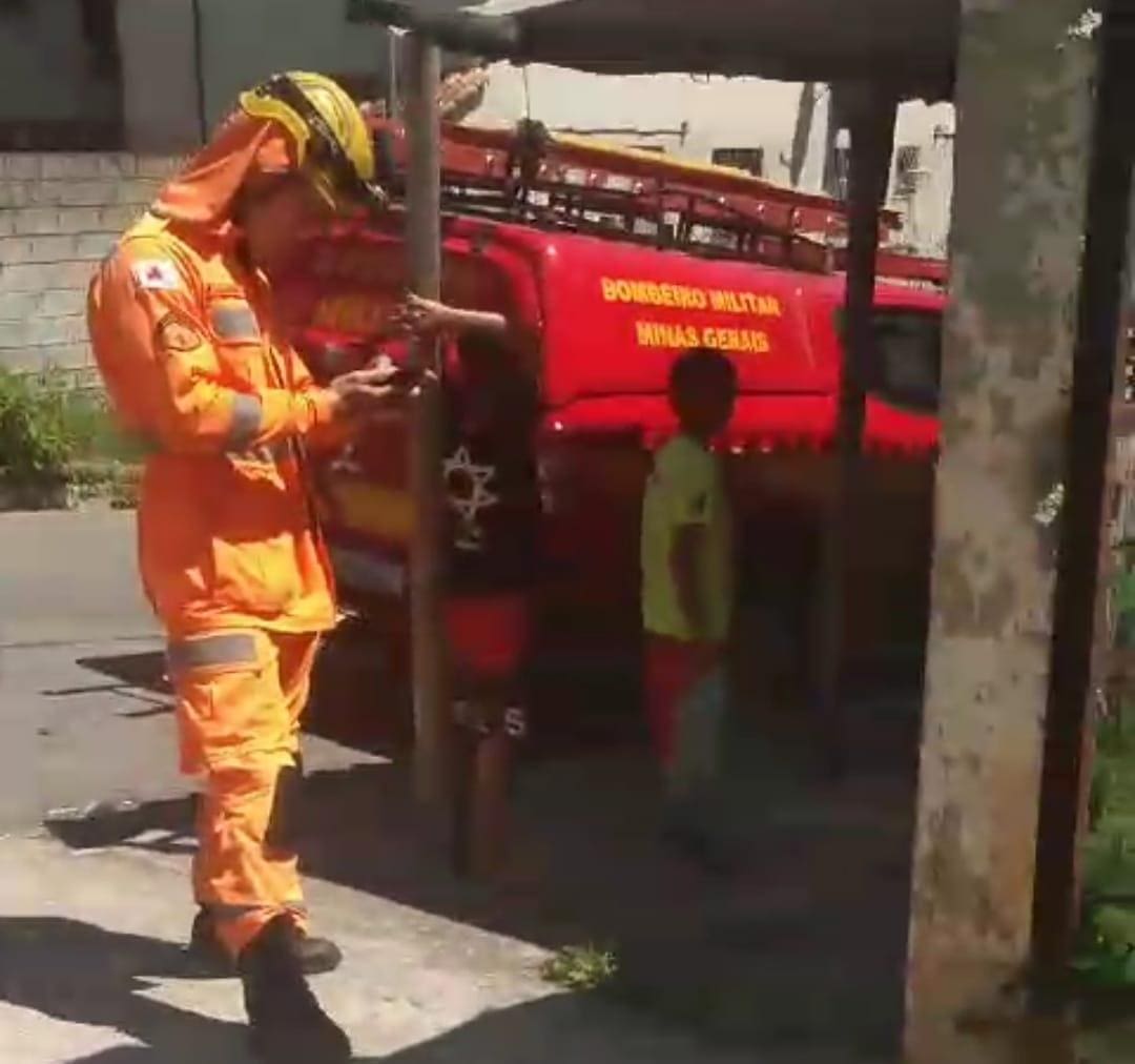O Corpo de Bombeiros foi acionado para recolher o animal, que foi encaminhado à Sepa