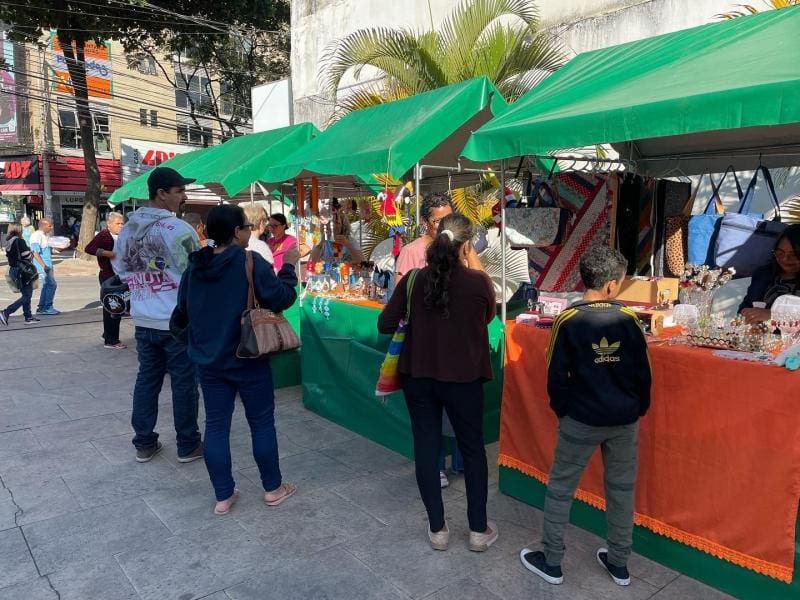 Feira ocorre das 8h  às 17h, no museu Paulo Gontijo.