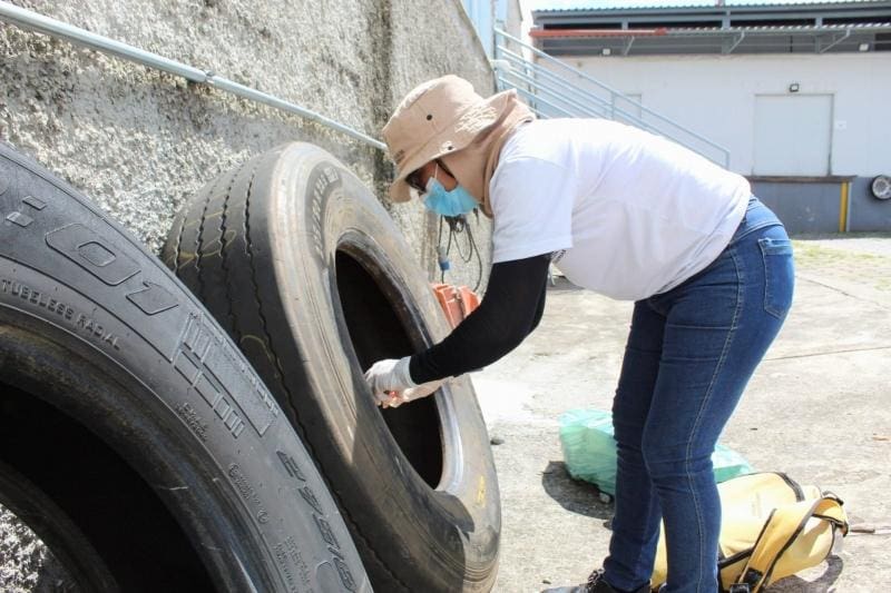 Prefeitura de Betim está intensificando ações de combate ao mosquito e de conscientização da população