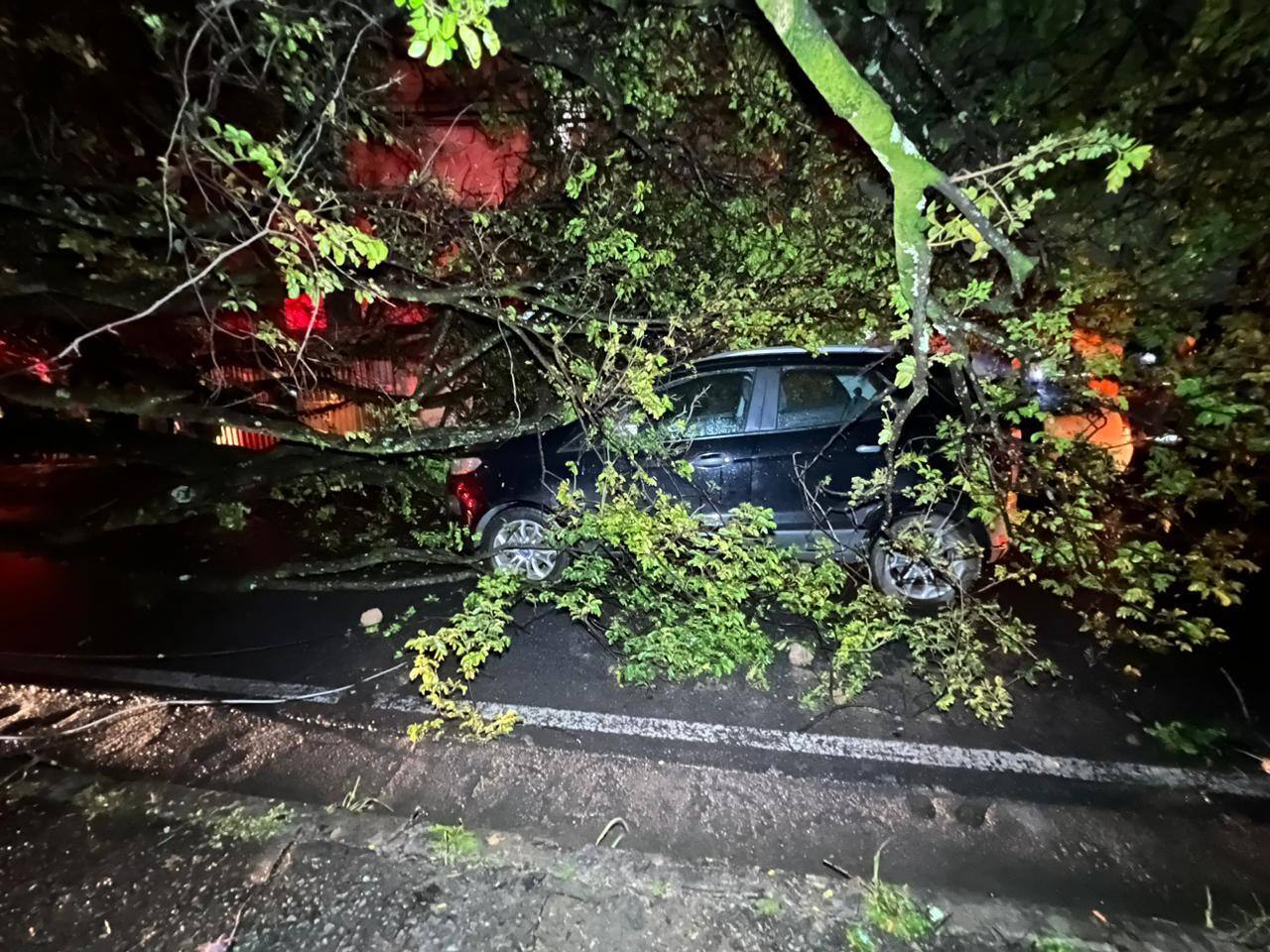 Um dos carros estava em movimento no momento em que foi atingido; já os outros dois estavam estacionados na via