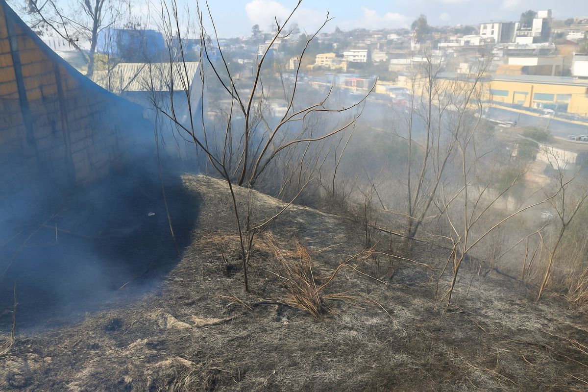 Após o controle das chamas, os trabalhadores da empresa puderam retornar às suas atividades