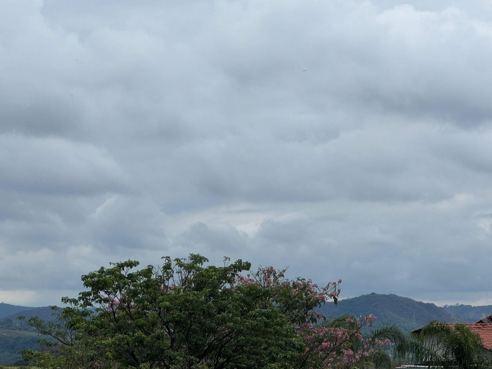 Céu também ficará predominantemente nublado
