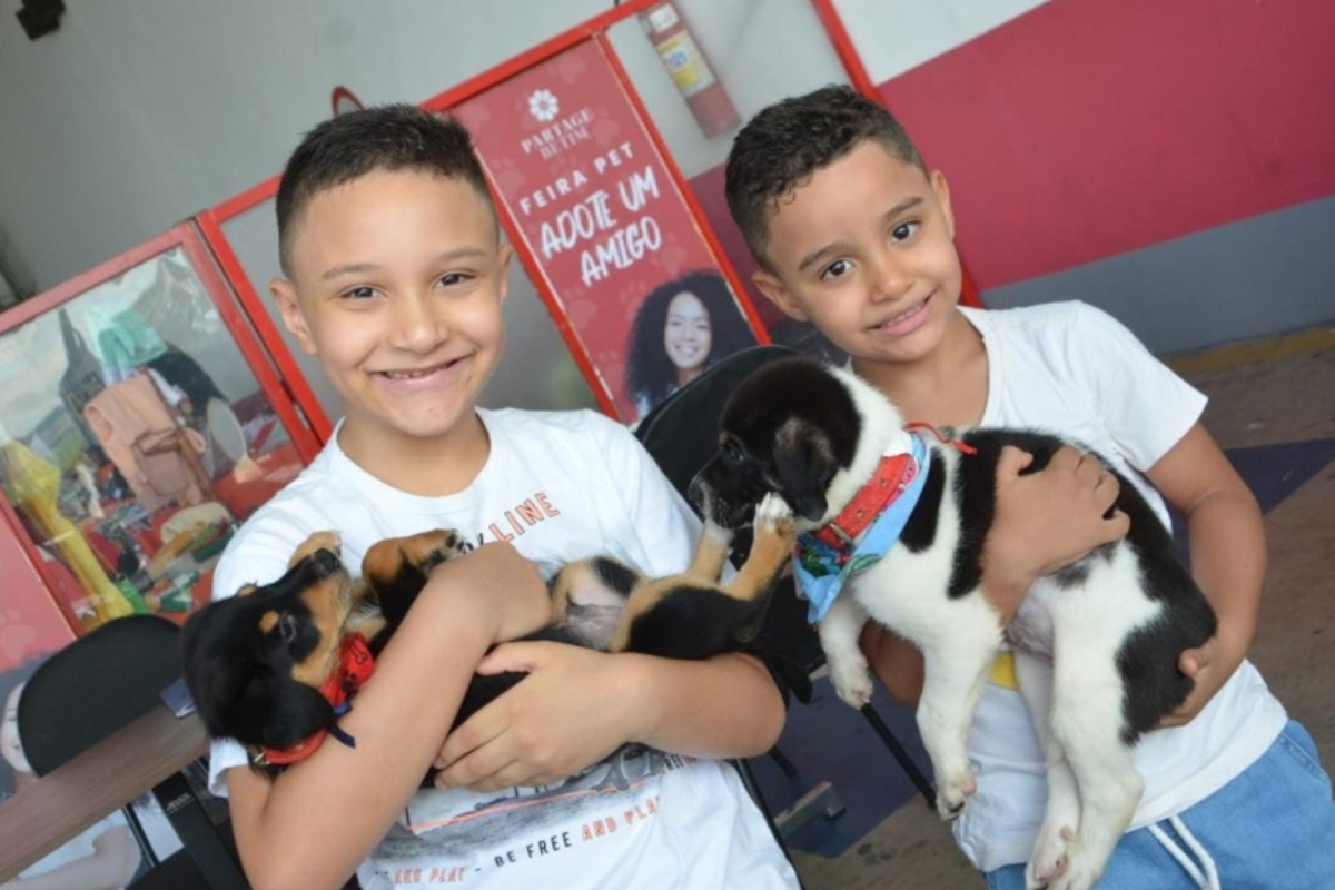 Cães a gatos estarão disponíveis