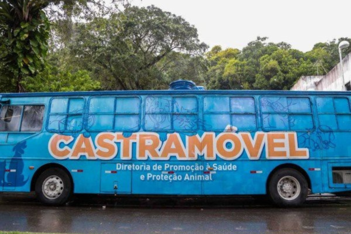 Evento acontece nos dias 7, 8, 9, 10, 11, 13 e 14 de outubro, das 7h às 17h, no estacionamento do Ginásio Poliesportivo Divino Braga 