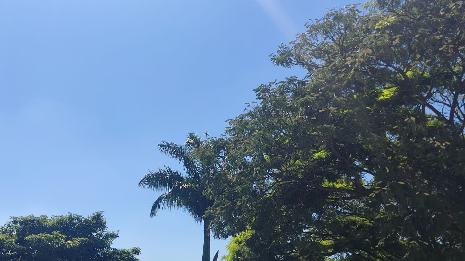 O dia será de tempo aberto, com céu claro e poucas nuvens.
