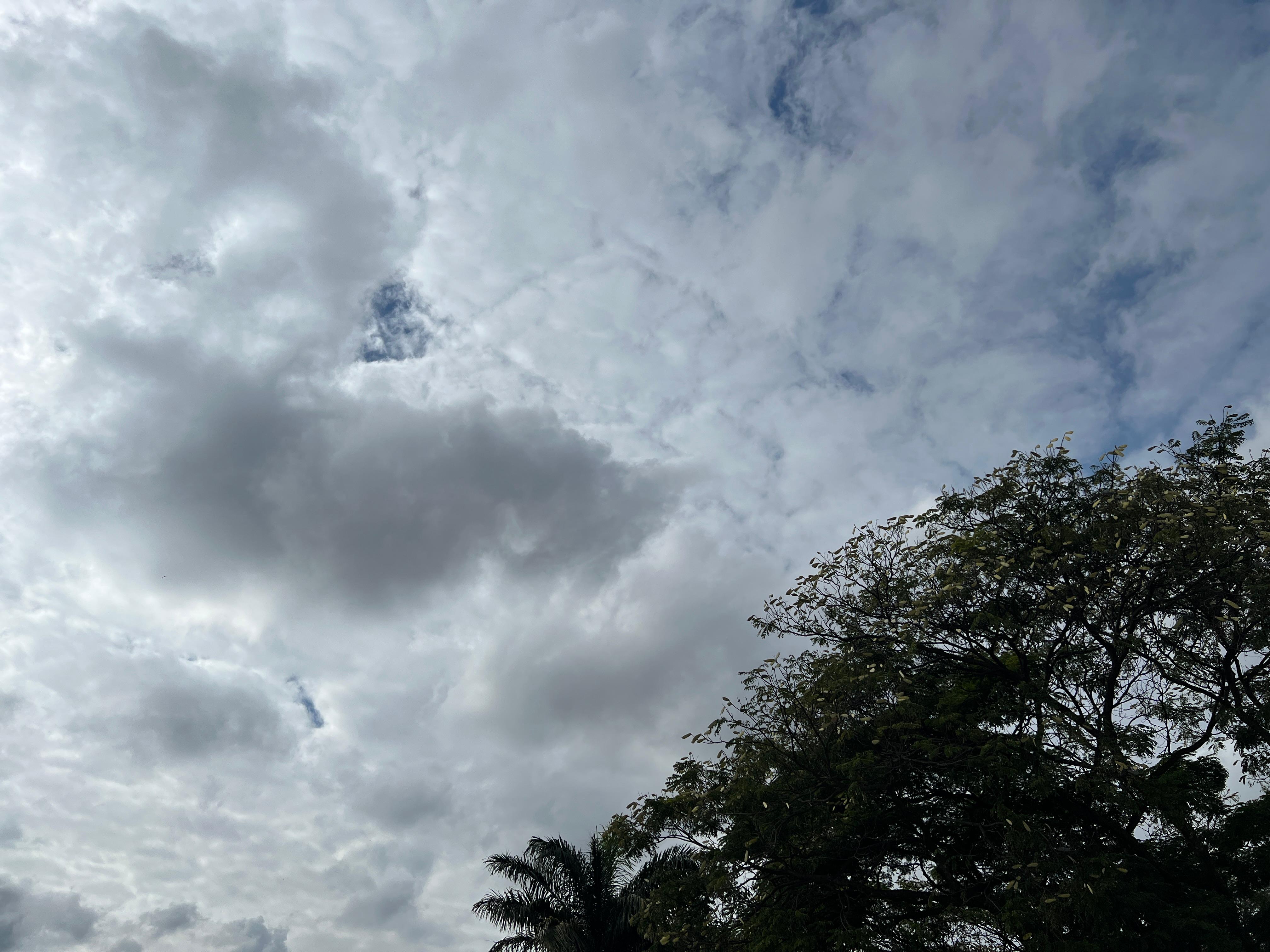 Dia terá momentos de céu nublado a parcialmente nublado