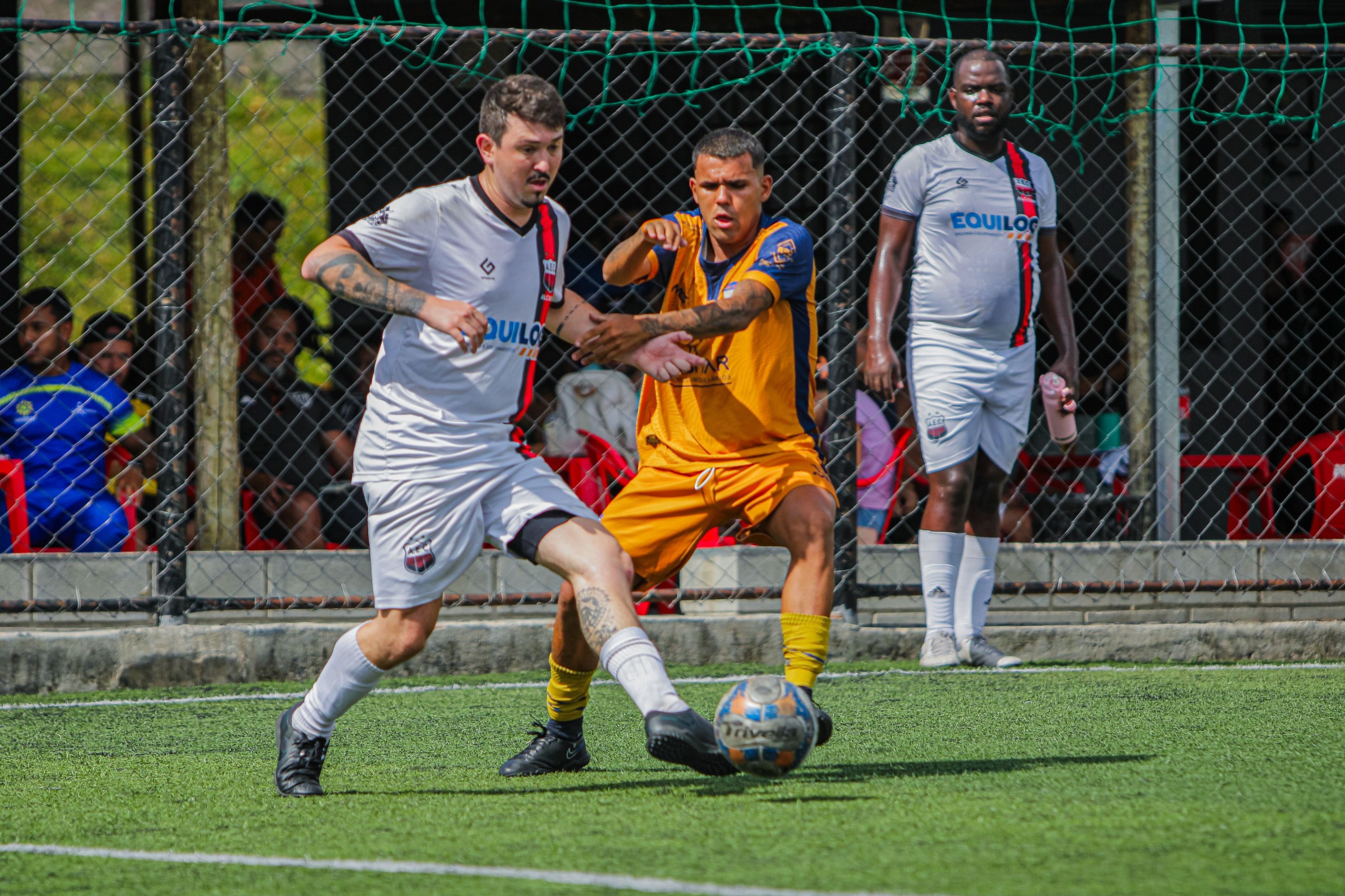 No total, 15 equipes estão na briga pelo título da temporada