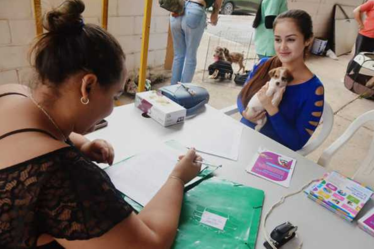 Cerca de 20 animais estarão disponíveis para adoção