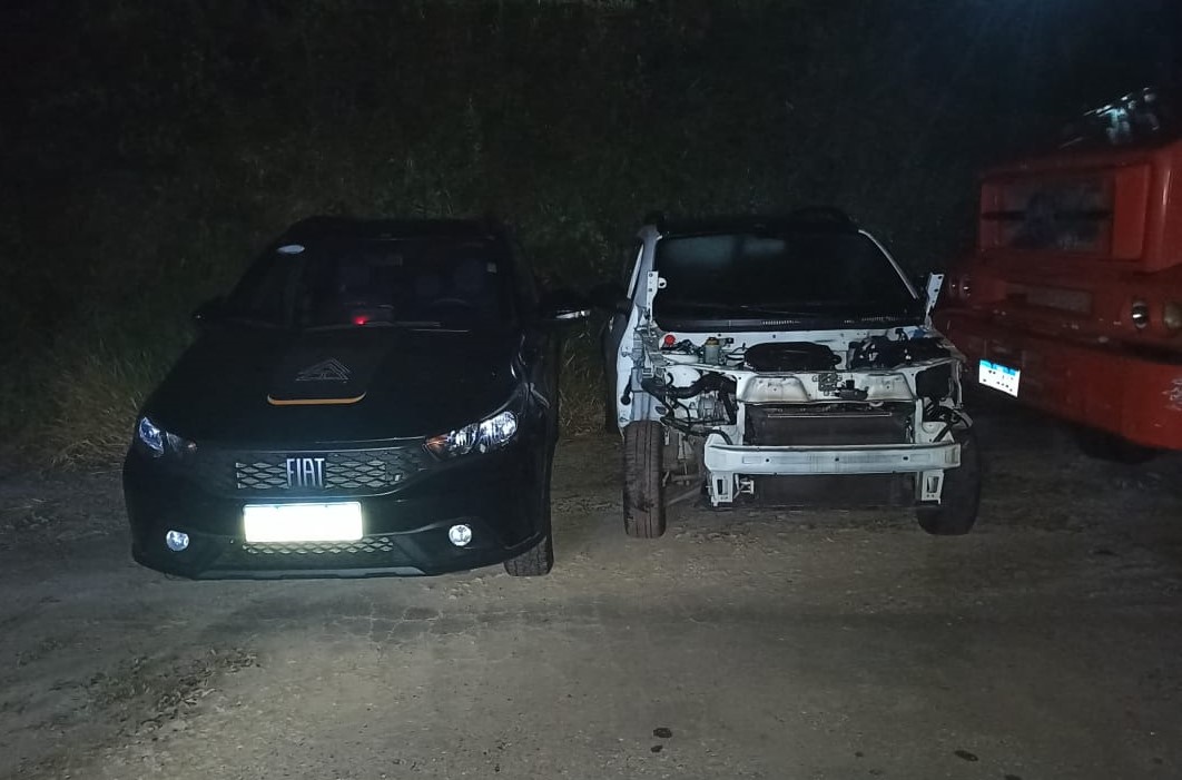 Alguns dos veículos encontrados no local de desmanche