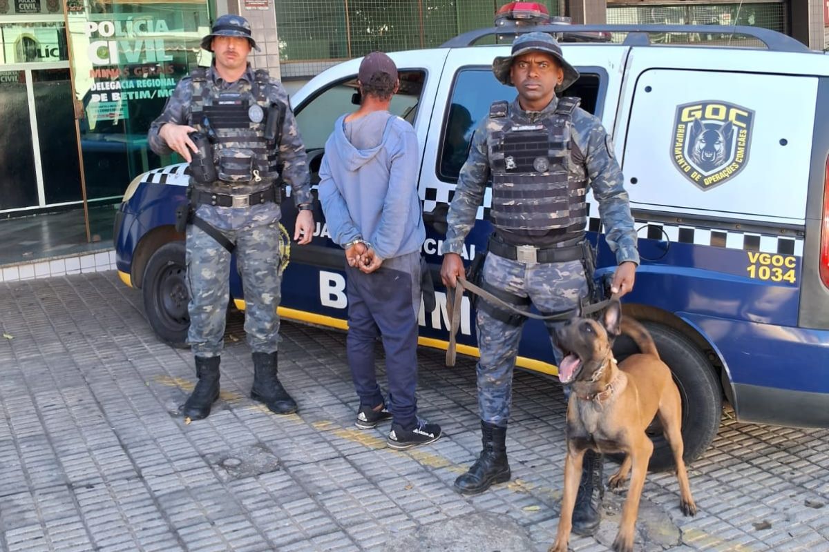 Foi o cachorro que identificou o cheiro da droga com o homem, possibilitando a localização dos entorpecentes