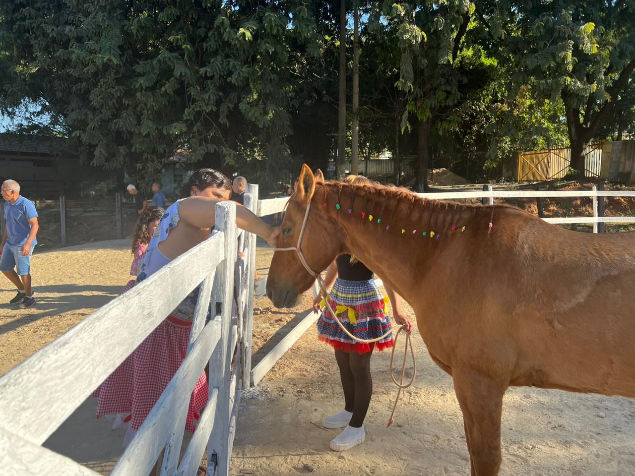 Égua Bela é um dos animais utilizados na terapia das 44 crianças atendidas atualmente pela associação