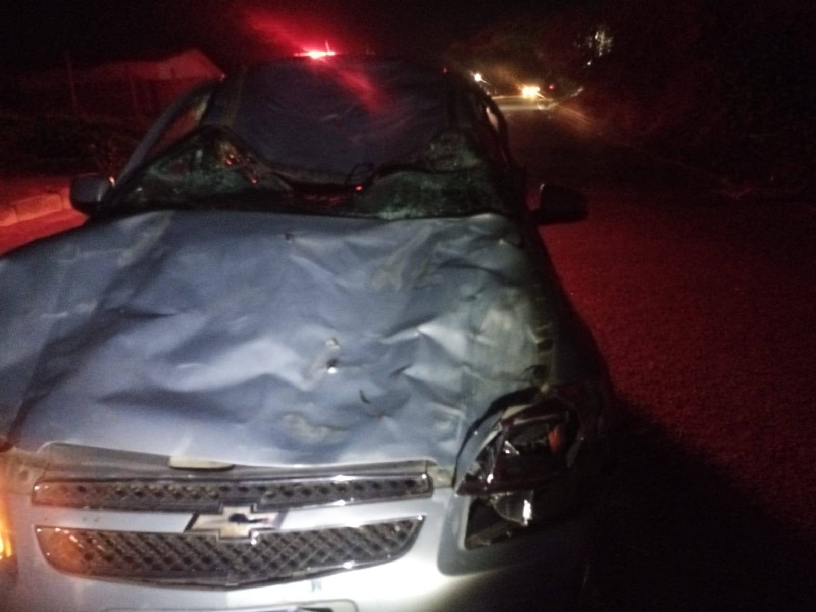 Carro ficou destruído por conta do impacto com o animal na pista