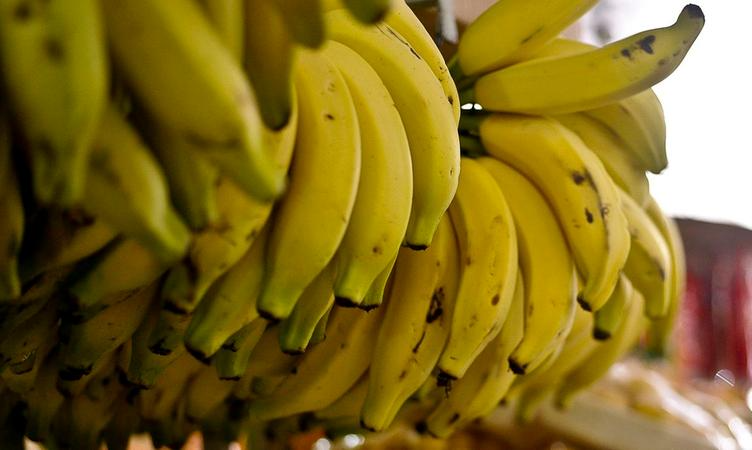 Alimentos vendidos na feira são colhidos diretamente da horta dos produtores