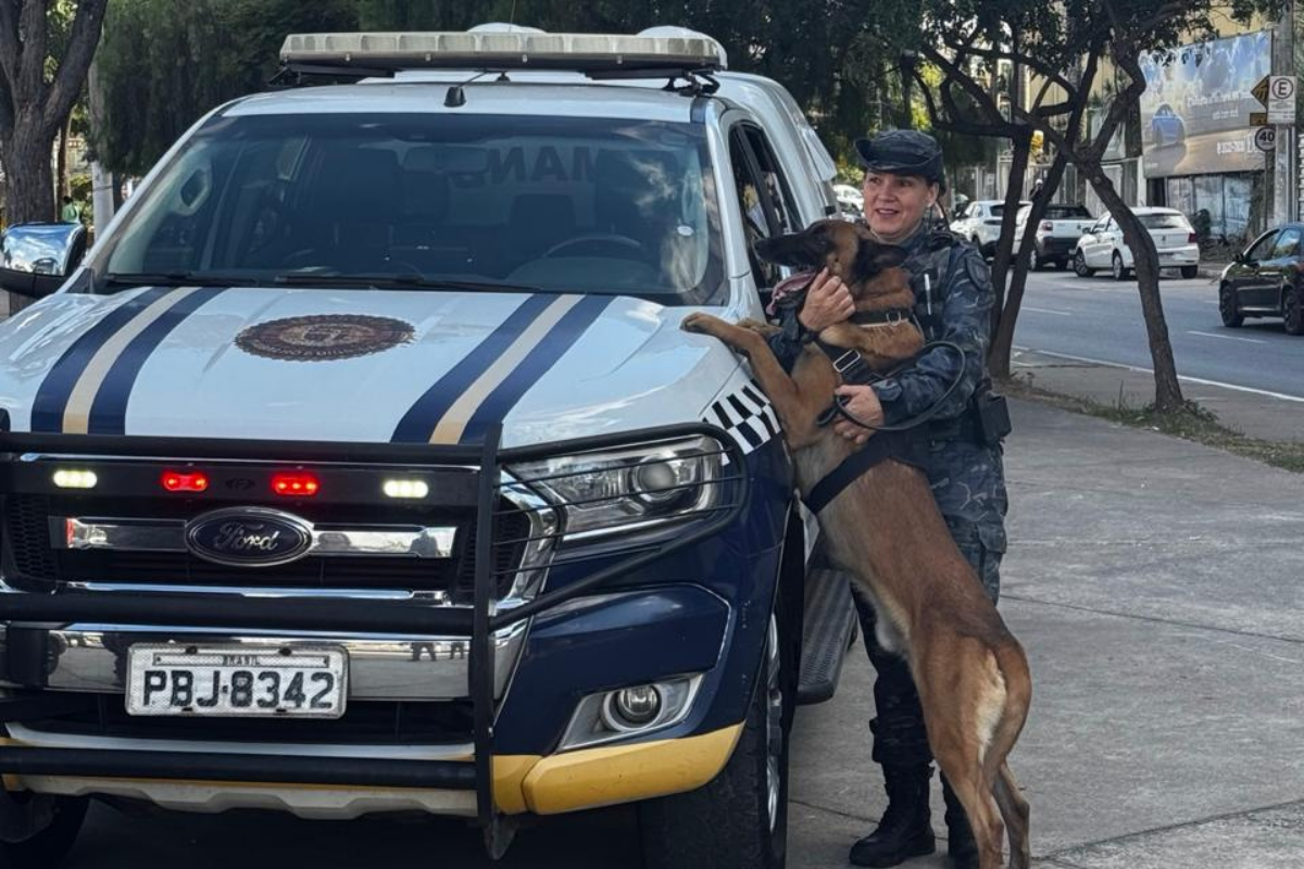 Crianças atendidas pelo projeto foram conduzidas pelas fisioterapeutas para interagir com os cães, participando de atividades psicomotoras e sensoriais