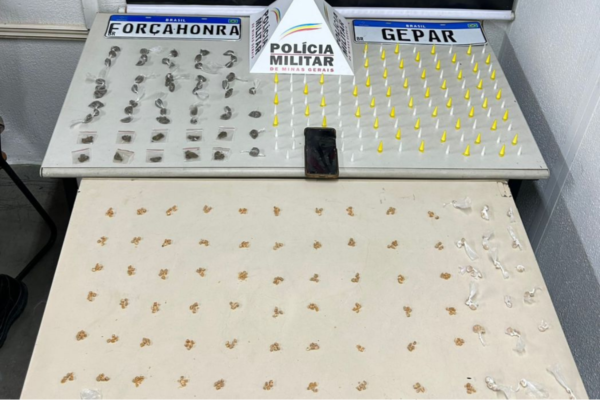 Foram apreendidas 349 pedras de crack, 128 pinos de cocaína, 56 buchas de maconha, além de R$182,85 em dinheiro e um aparelho celular