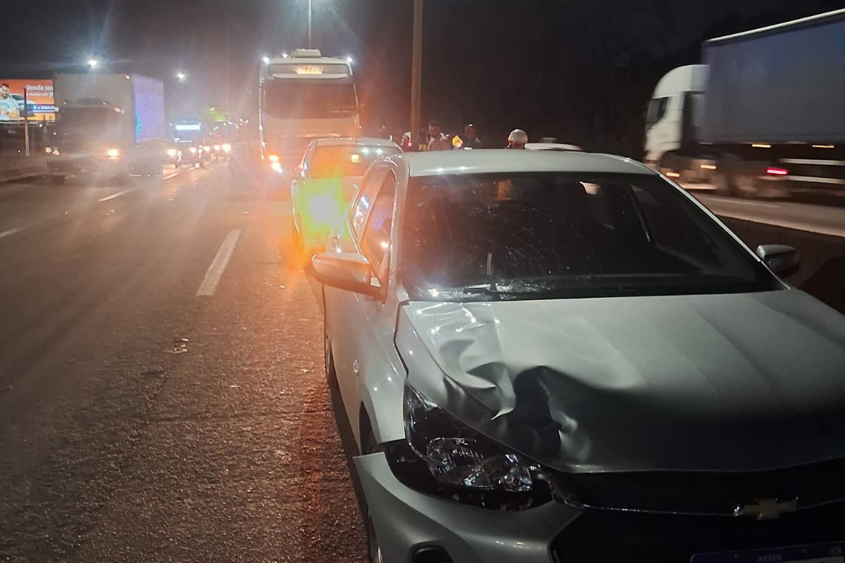 Vítima foi socorrida por uma equipe da Arteris e encaminhada para o hospital