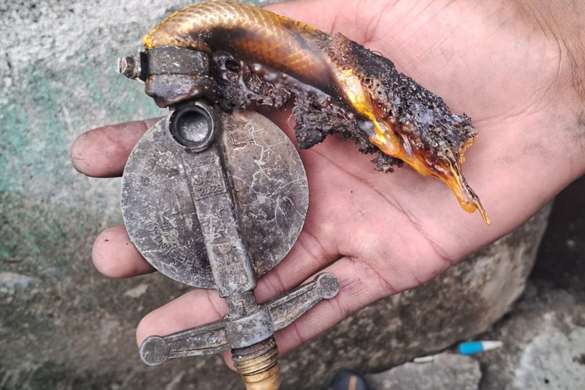 Incêndio assustou moradores, mas não causou danos estruturais à residência