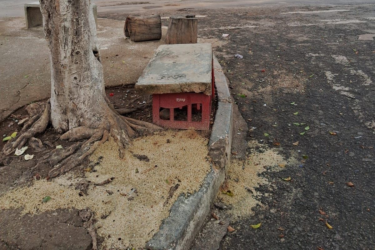 Crime ocorreu na noite do último sábado (1ª/11), na rua Montes Claros, no bairro Marimbá